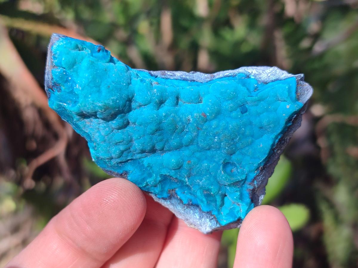 Natural Botryoidal Chrysocolla Specimens x 19 From Kulukuluku, Congo - Toprock Gemstones and Minerals 