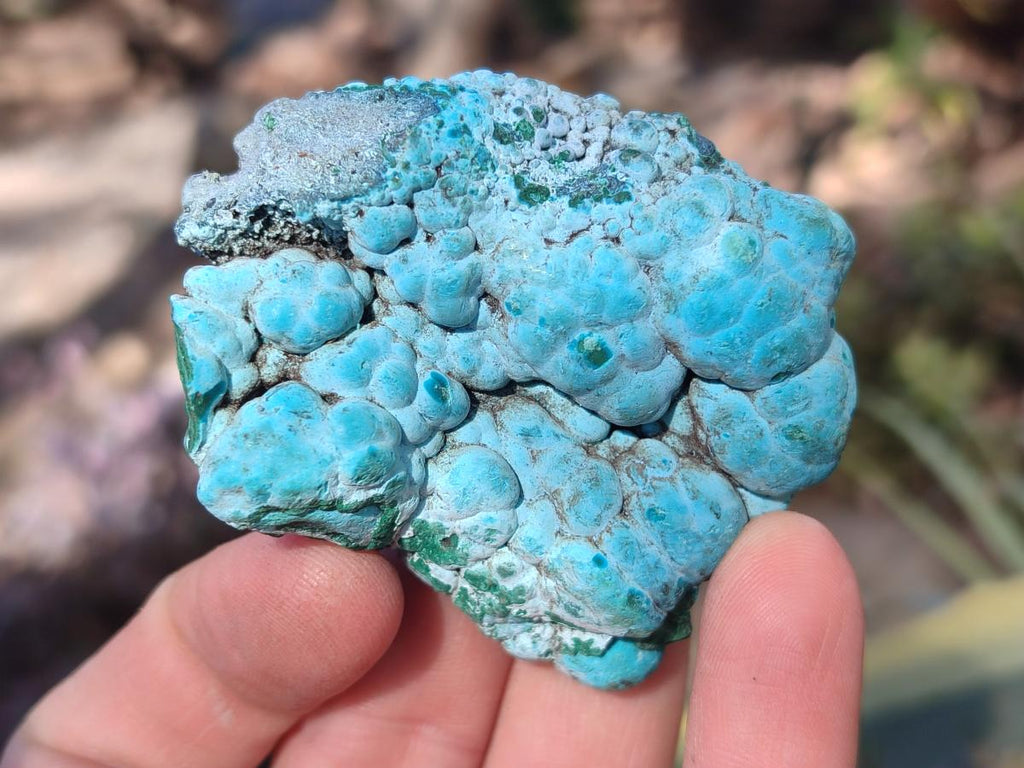 Natural Botryoidal Chrysocolla Specimens x 19 From Kulukuluku, Congo - Toprock Gemstones and Minerals 