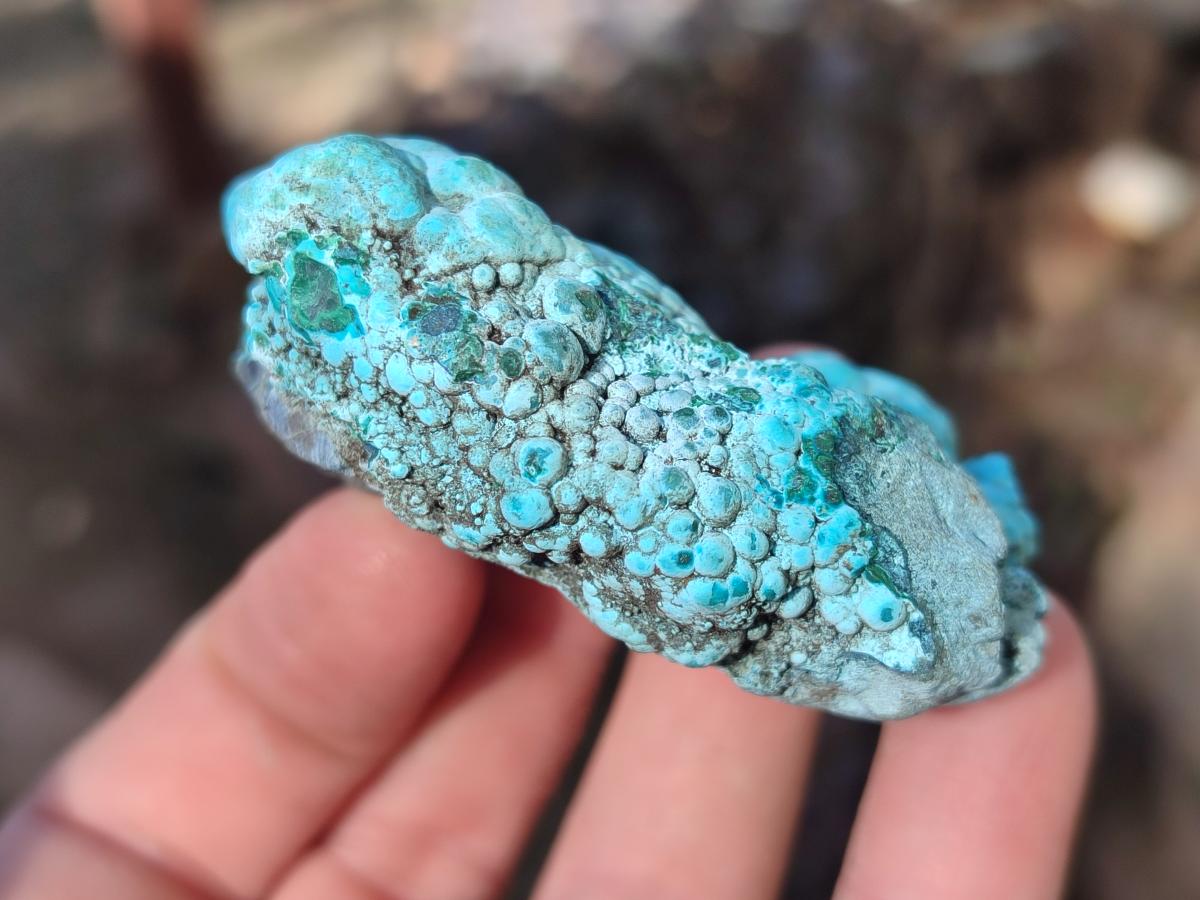 Natural Botryoidal Chrysocolla Specimens x 19 From Kulukuluku, Congo - Toprock Gemstones and Minerals 