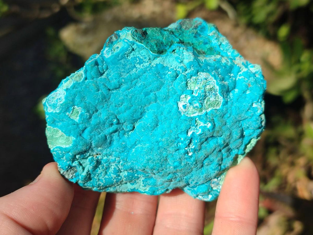 Natural Botryoidal Chrysocolla Specimens x 19 From Kulukuluku, Congo - Toprock Gemstones and Minerals 