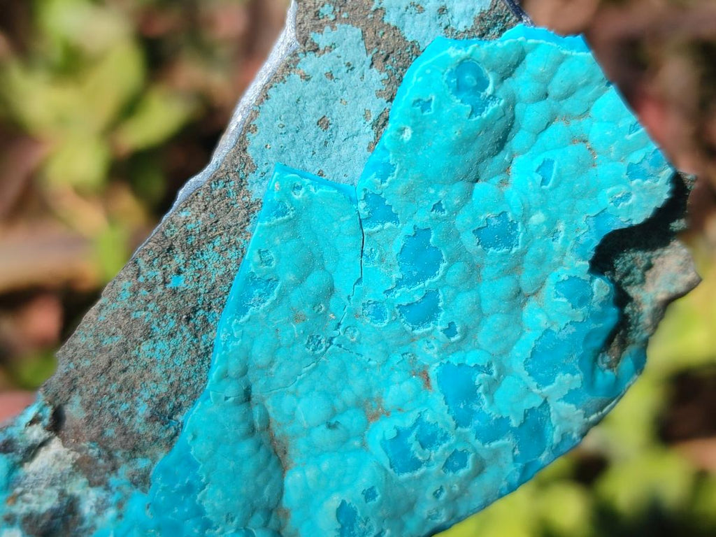 Natural Botryoidal Chrysocolla Specimens x 19 From Kulukuluku, Congo - Toprock Gemstones and Minerals 