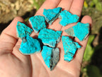 Natural Botryoidal Chrysocolla Specimens x 19 From Kulukuluku, Congo - Toprock Gemstones and Minerals 