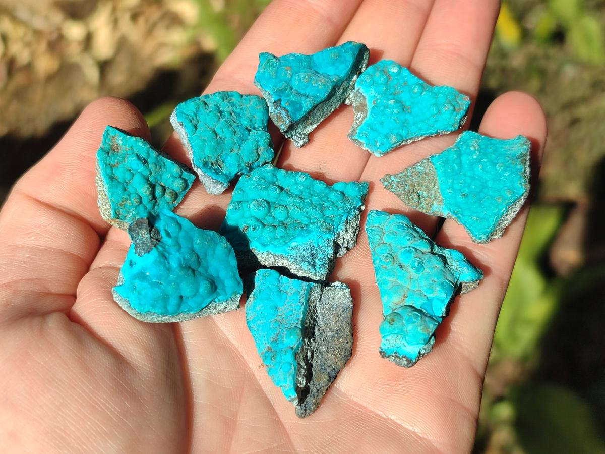 Natural Botryoidal Chrysocolla Specimens x 19 From Kulukuluku, Congo - Toprock Gemstones and Minerals 