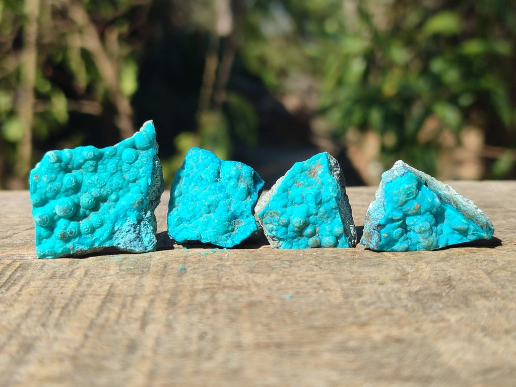 Natural Botryoidal Chrysocolla Specimens x 19 From Kulukuluku, Congo - Toprock Gemstones and Minerals 