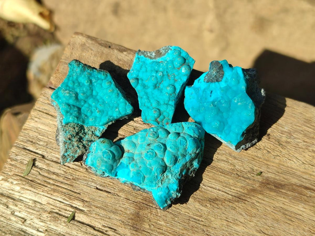 Natural Botryoidal Chrysocolla Specimens x 19 From Kulukuluku, Congo - Toprock Gemstones and Minerals 