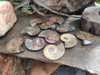 Polished and Natural Cleoniceras Ammonite Fossil Pairs x 6 From Tulear, Madagascar - Toprock Gemstones and Minerals 
