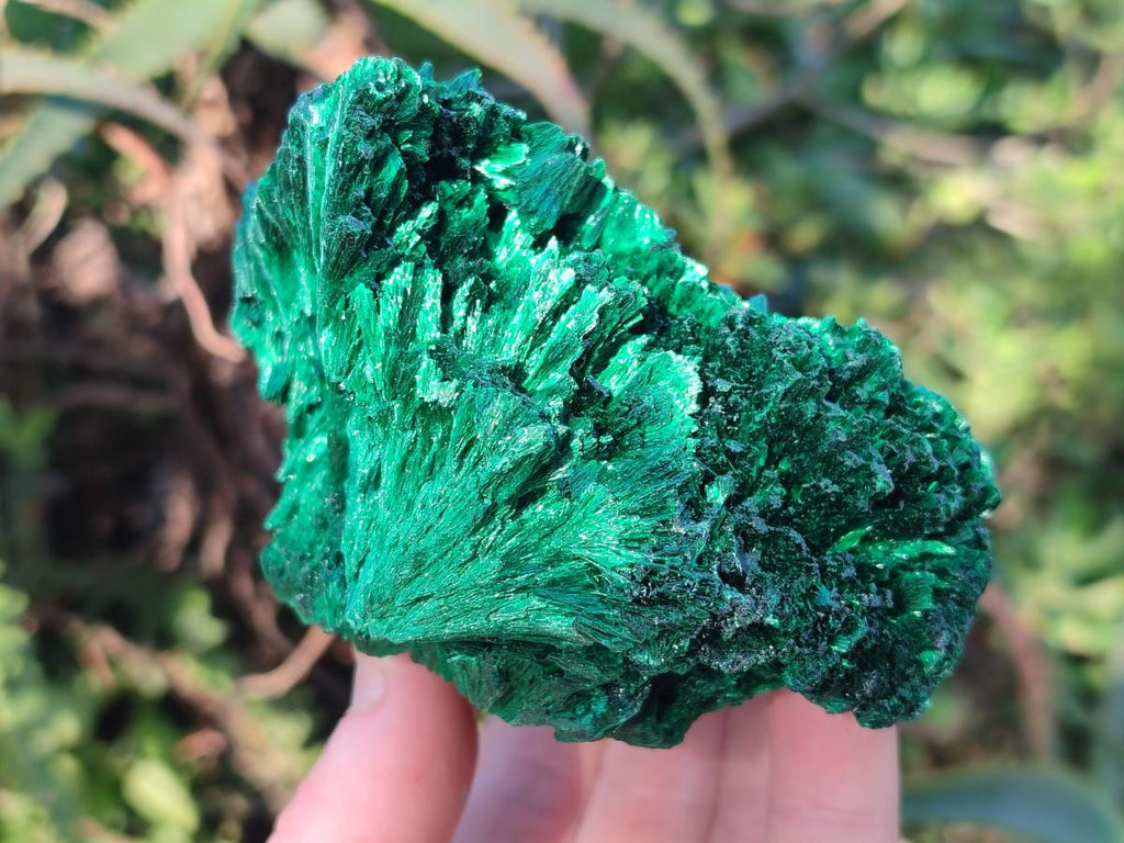 Natural Silky Malachite Specimens x 3 From Kasompe, Congo - Toprock Gemstones and Minerals 