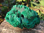 Natural Silky Malachite Specimens x 3 From Kasompe, Congo - Toprock Gemstones and Minerals 