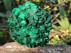 Natural Silky Malachite Specimens x 3 From Kasompe, Congo - Toprock Gemstones and Minerals 