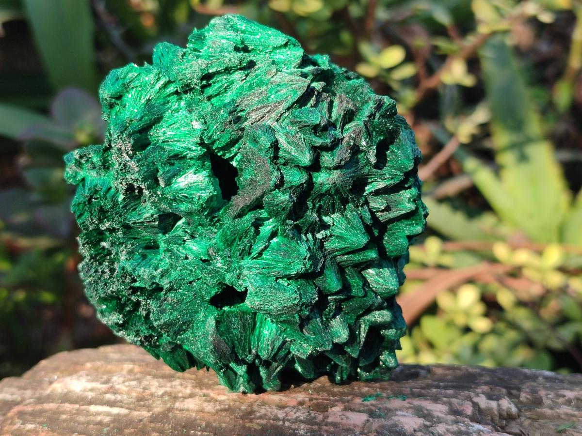 Natural Silky Malachite Specimens x 3 From Kasompe, Congo - Toprock Gemstones and Minerals 