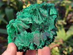 Natural Silky Malachite Specimens x 3 From Kasompe, Congo - Toprock Gemstones and Minerals 