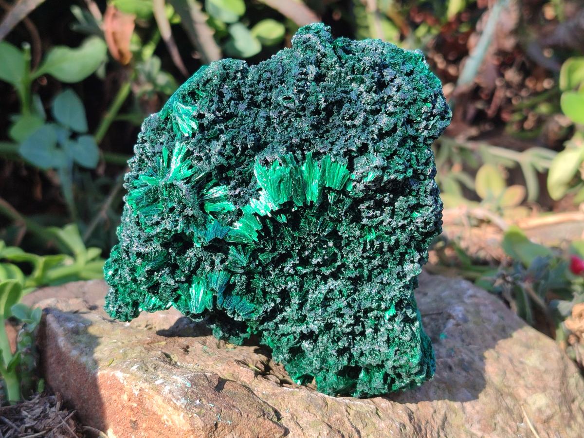 Natural Silky Malachite Specimens x 3 From Kasompe, Congo - Toprock Gemstones and Minerals 