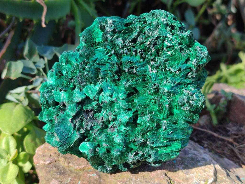 Natural Silky Malachite Specimens x 3 From Kasompe, Congo - Toprock Gemstones and Minerals 