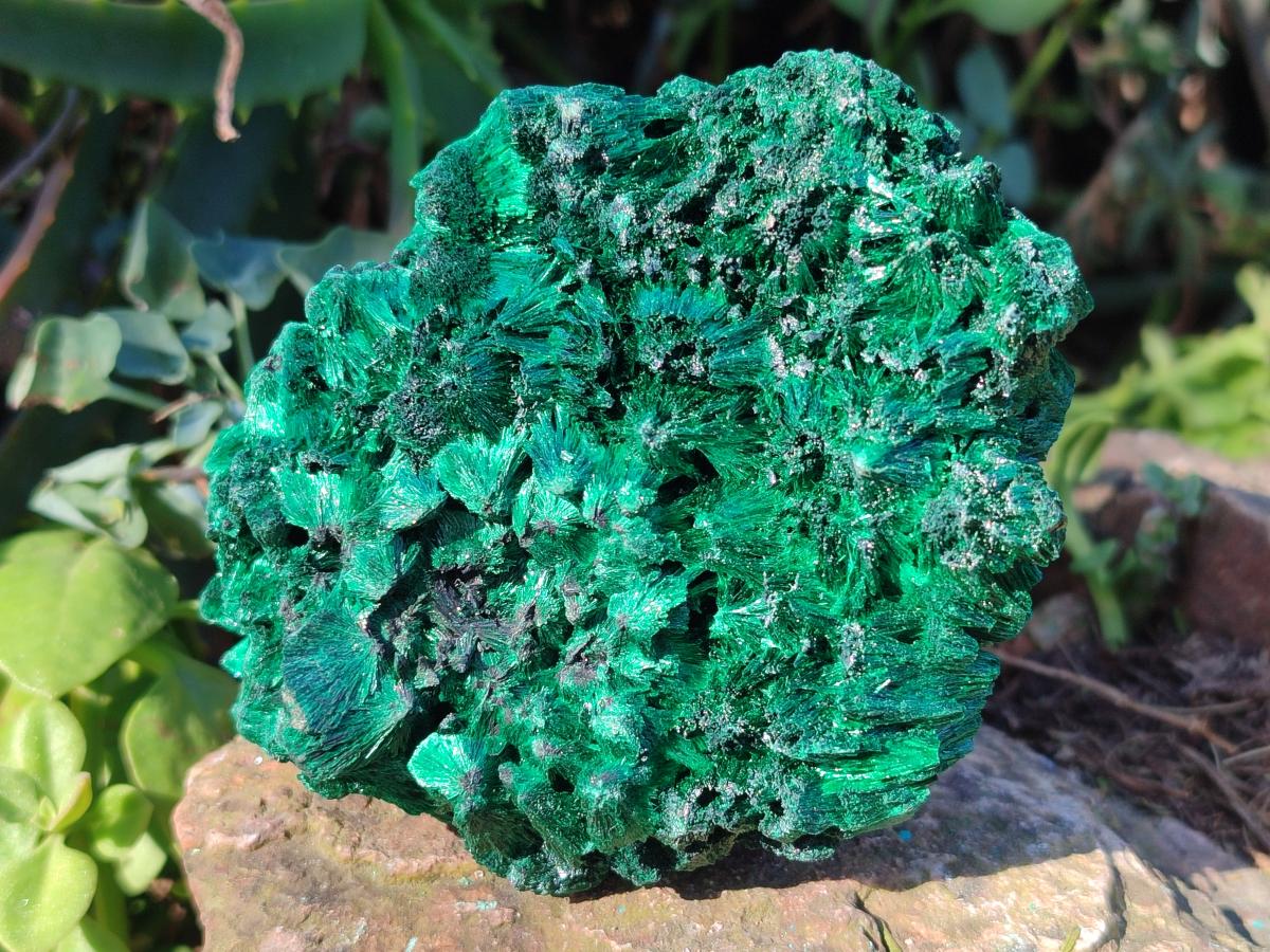 Natural Silky Malachite Specimens x 3 From Kasompe, Congo - Toprock Gemstones and Minerals 