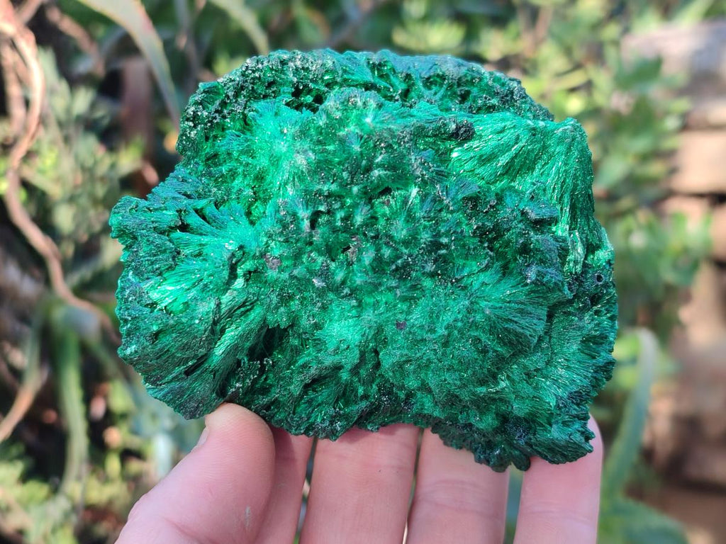 Natural Silky Malachite Specimens x 3 From Kasompe, Congo - Toprock Gemstones and Minerals 