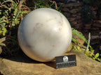 Polished XL White Marble x 1 From Rustenburg, South Africa - Toprock Gemstones and Minerals 