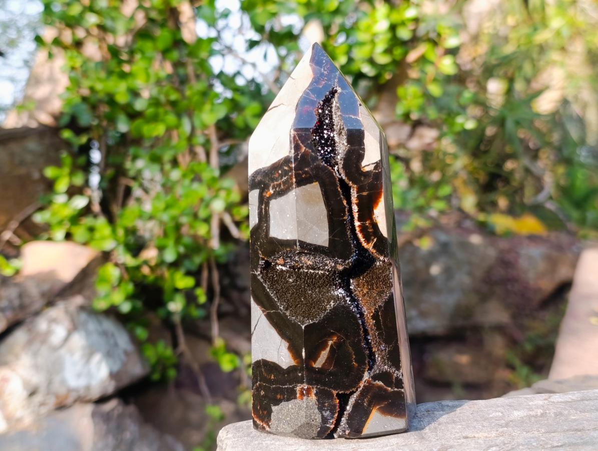 Polished and Natural Septerye Sauvage Display Crystals x 3 From Mahajanga, Madagascar - Toprock Gemstones and Minerals 