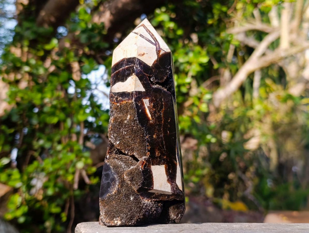 Polished and Natural Septerye Sauvage Display Crystals x 3 From Mahajanga, Madagascar - Toprock Gemstones and Minerals 