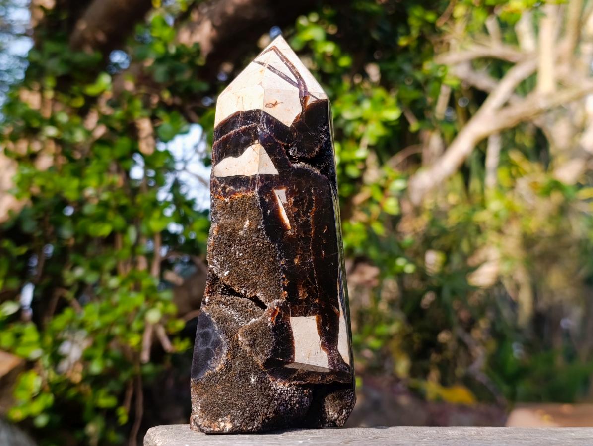 Polished and Natural Septerye Sauvage Display Crystals x 3 From Mahajanga, Madagascar - Toprock Gemstones and Minerals 