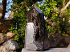 Polished and Natural Septerye Sauvage Display Crystals x 3 From Mahajanga, Madagascar - Toprock Gemstones and Minerals 