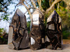 Polished and Natural Septerye Sauvage Display Crystals x 3 From Mahajanga, Madagascar - Toprock Gemstones and Minerals 