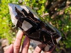 Polished and Natural Septerye Sauvage Display Crystals x 3 From Mahajanga, Madagascar - Toprock Gemstones and Minerals 