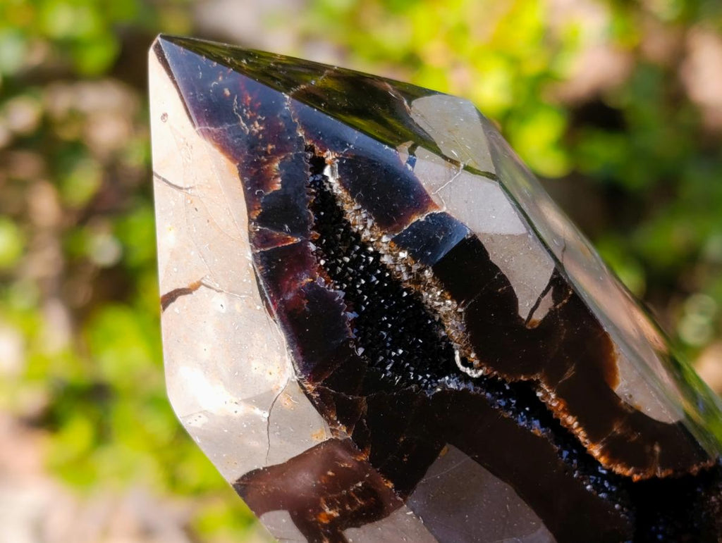 Polished and Natural Septerye Sauvage Display Crystals x 3 From Mahajanga, Madagascar - Toprock Gemstones and Minerals 
