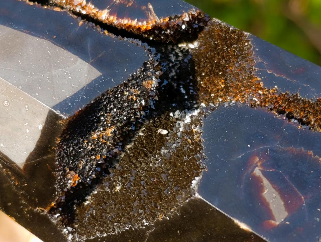 Polished and Natural Septerye Sauvage Display Crystals x 3 From Mahajanga, Madagascar - Toprock Gemstones and Minerals 