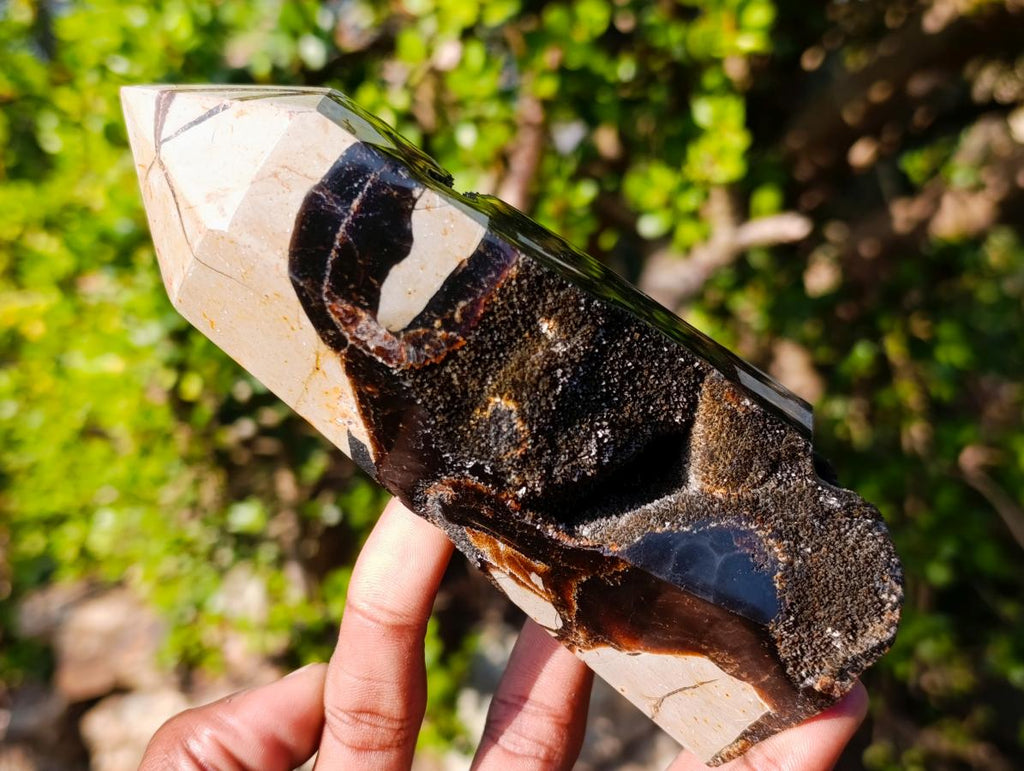 Polished and Natural Septerye Sauvage Display Crystals x 3 From Mahajanga, Madagascar - Toprock Gemstones and Minerals 