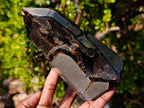 Polished and Natural Septerye Sauvage Display Crystals x 3 From Mahajanga, Madagascar - Toprock Gemstones and Minerals 
