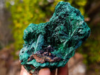 Natural Silky Malachite Specimens x 6 From Kasompe, Congo - Toprock Gemstones and Minerals 