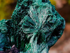 Natural Silky Malachite Specimens x 6 From Kasompe, Congo - Toprock Gemstones and Minerals 