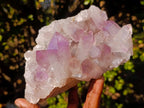 Natural Jacaranda Amethyst Clusters x 2 From Mumbwa, Zambia - Toprock Gemstones and Minerals 