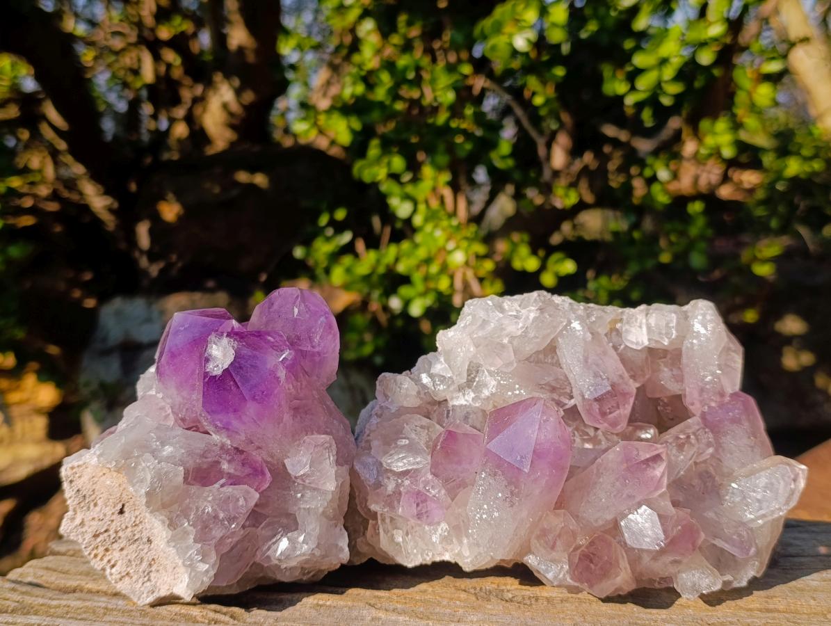 Natural Jacaranda Amethyst Clusters x 2 From Mumbwa, Zambia - Toprock Gemstones and Minerals 