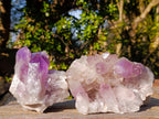 Natural Jacaranda Amethyst Clusters x 2 From Mumbwa, Zambia - Toprock Gemstones and Minerals 