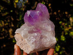 Natural Jacaranda Amethyst Clusters x 2 From Mumbwa, Zambia - Toprock Gemstones and Minerals 