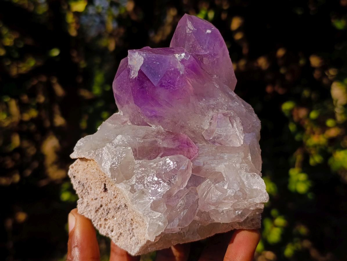 Natural Jacaranda Amethyst Clusters x 2 From Mumbwa, Zambia - Toprock Gemstones and Minerals 