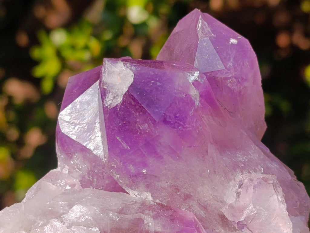 Natural Jacaranda Amethyst Clusters x 2 From Mumbwa, Zambia - Toprock Gemstones and Minerals 