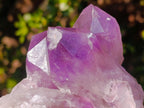 Natural Jacaranda Amethyst Clusters x 2 From Mumbwa, Zambia - Toprock Gemstones and Minerals 