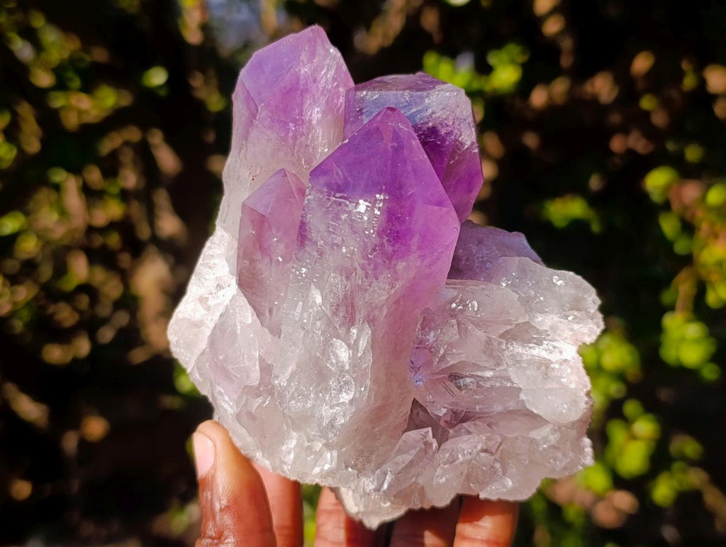 Natural Jacaranda Amethyst Clusters x 2 From Mumbwa, Zambia - Toprock Gemstones and Minerals 