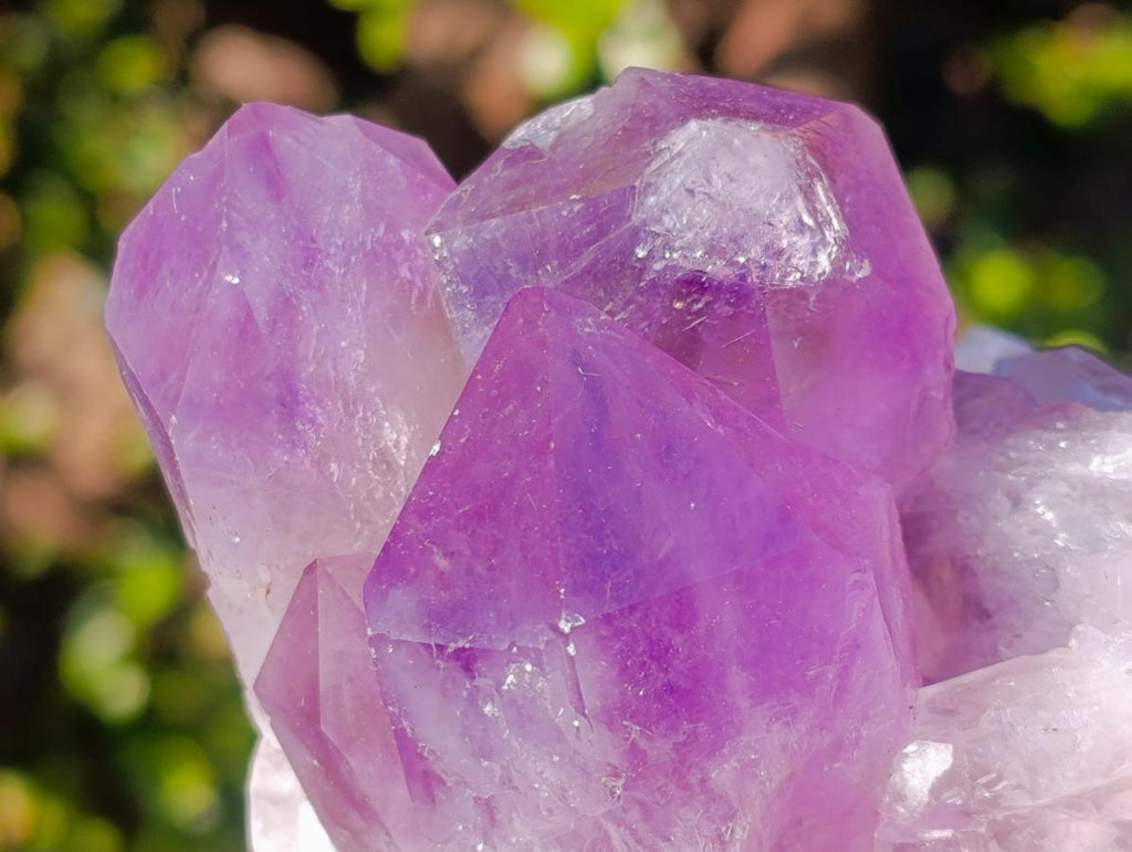 Natural Jacaranda Amethyst Clusters x 2 From Mumbwa, Zambia - Toprock Gemstones and Minerals 