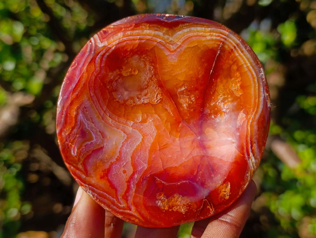 Polished Carnelian Agate Gemstone Bowls x 4 From Madagascar - Toprock Gemstones and Minerals 