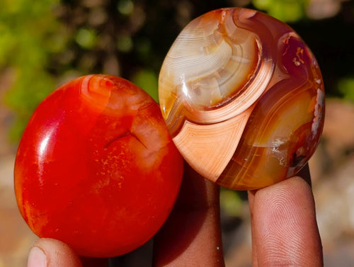 Polished and Natural Carnelian Agate Gemstone Galets x 24 From Madagascar - Toprock Gemstones and Minerals 