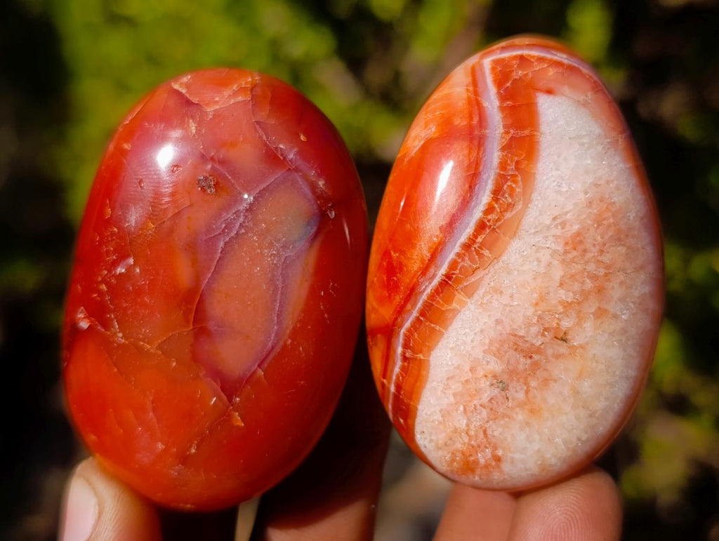Polished and Natural Carnelian Agate Gemstone Galets x 24 From Madagascar - Toprock Gemstones and Minerals 