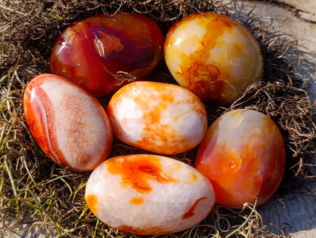 Polished and Natural Carnelian Agate Gemstone Galets x 24 From Madagascar - Toprock Gemstones and Minerals 