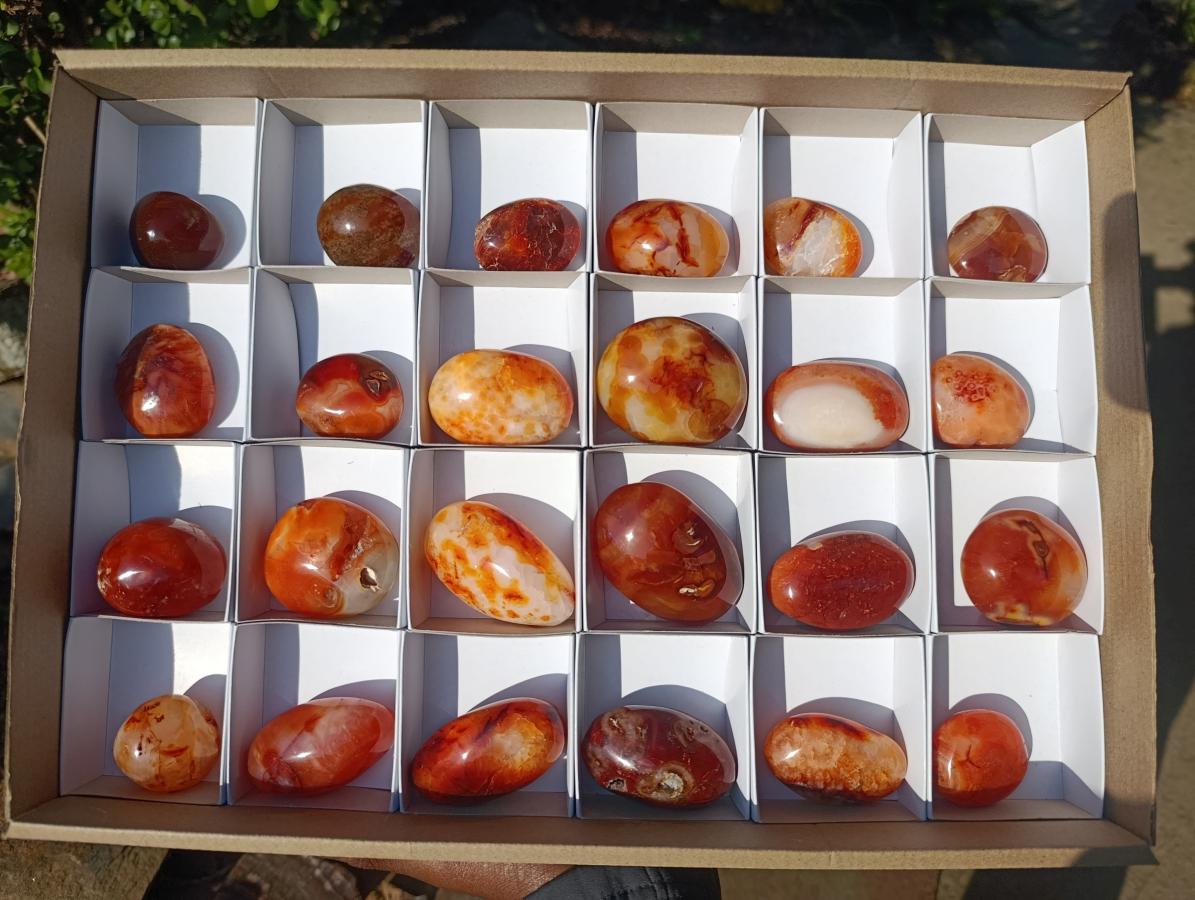 Polished and Natural Carnelian Agate Gemstone Galets x 24 From Madagascar - Toprock Gemstones and Minerals 