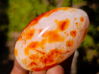 Polished and Natural Carnelian Agate Gemstone Galets x 24 From Madagascar - Toprock Gemstones and Minerals 