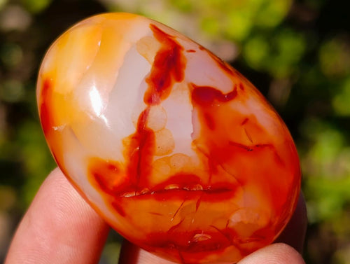Polished and Natural Carnelian Agate Gemstone Galets x 24 From Madagascar - Toprock Gemstones and Minerals 