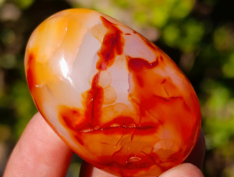 Polished and Natural Carnelian Agate Gemstone Galets x 24 From Madagascar - Toprock Gemstones and Minerals 