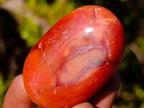 Polished and Natural Carnelian Agate Gemstone Galets x 24 From Madagascar - Toprock Gemstones and Minerals 